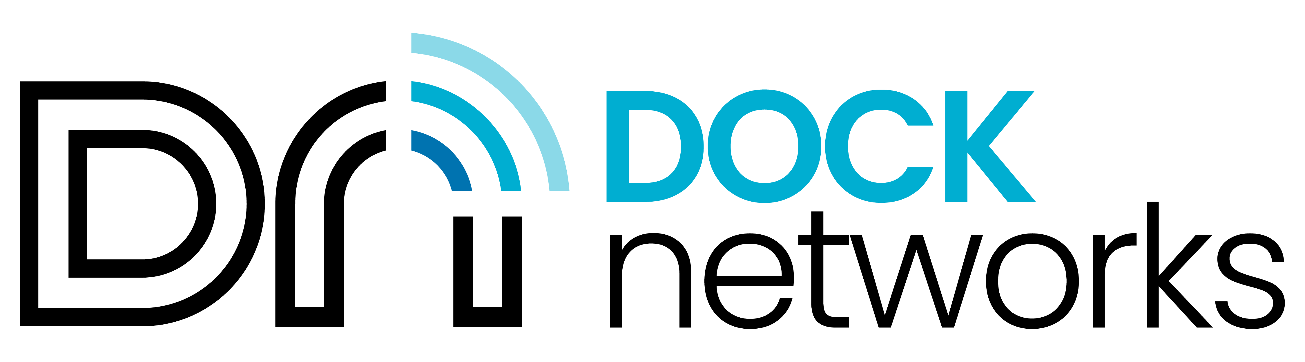 Logotipo de Dock Networks para el sitio